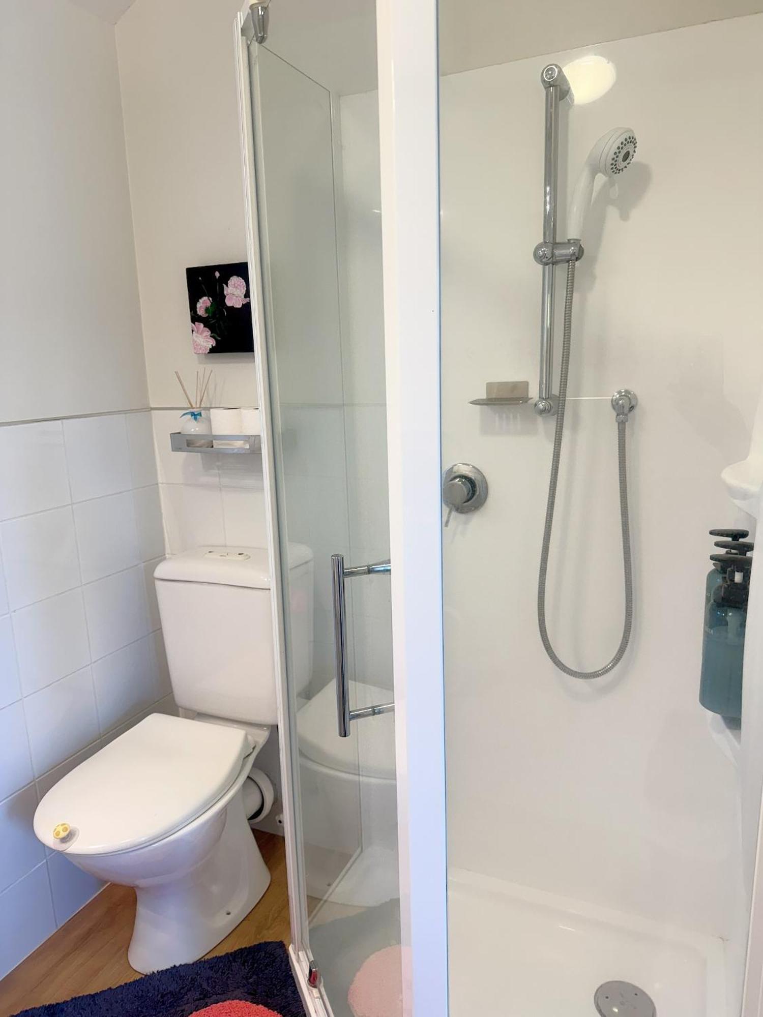 Cozy And Sunny Room Near City To Seapath Christchurch Ngoại thất bức ảnh